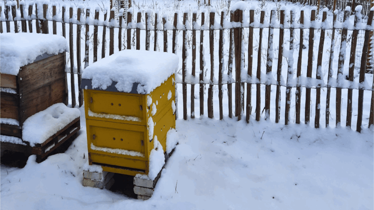 Winterruhe im Bienenstock